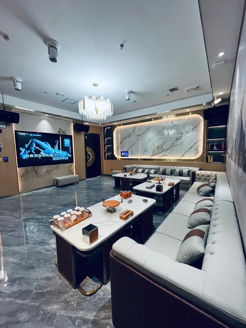 张家口商务ktv，尊贵商务场所演绎不一样的夜晚-赤城县ktv预定